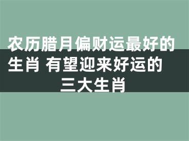 农历腊月偏财运最好的生肖 有望迎来好运的三大生肖
