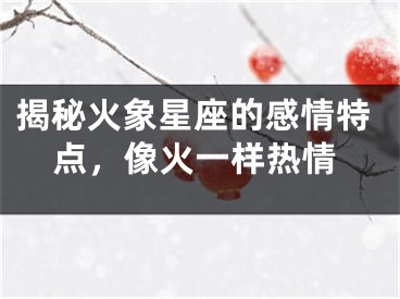 揭秘火象星座的感情特点，像火一样热情