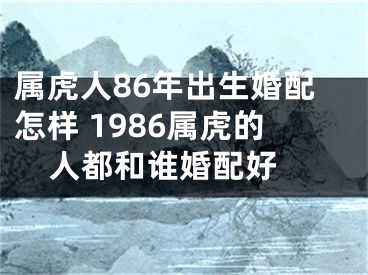 属虎人86年出生婚配怎样 1986属虎的人都和谁婚配好 