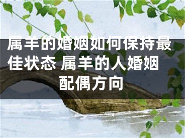 属羊的婚姻如何保持最佳状态 属羊的人婚姻配偶方向