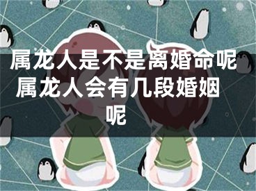 属龙人是不是离婚命呢 属龙人会有几段婚姻呢 