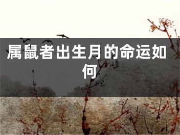 属鼠者出生月的命运如何