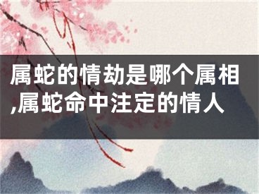 属蛇的情劫是哪个属相,属蛇命中注定的情人