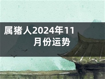属猪人2024年11月份运势