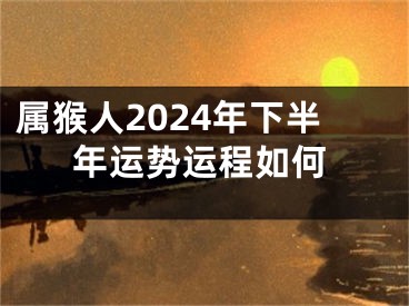 属猴人2024年下半年运势运程如何