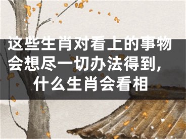 这些生肖对看上的事物会想尽一切办法得到,什么生肖会看相