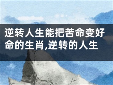 逆转人生能把苦命变好命的生肖,逆转的人生