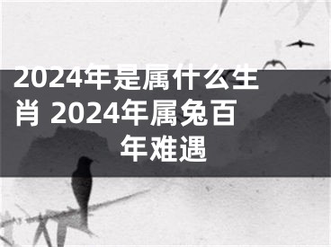 2024年是属什么生肖 2024年属兔百年难遇