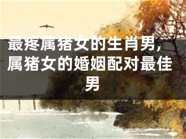 最疼属猪女的生肖男,属猪女的婚姻配对最佳男