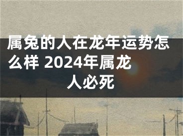 属兔的人在龙年运势怎么样 2024年属龙人必死