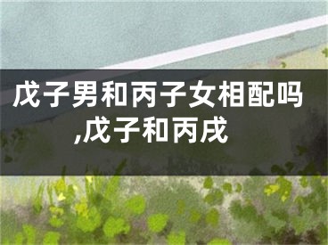 戊子男和丙子女相配吗,戊子和丙戌