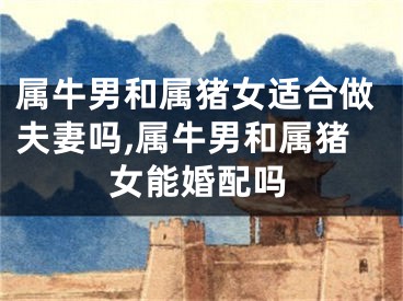 属牛男和属猪女适合做夫妻吗,属牛男和属猪女能婚配吗