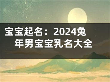 宝宝起名：2024兔年男宝宝乳名大全