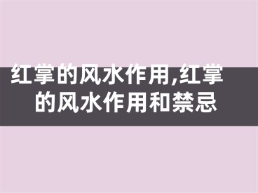 红掌的风水作用,红掌的风水作用和禁忌