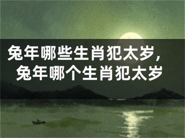兔年哪些生肖犯太岁,兔年哪个生肖犯太岁