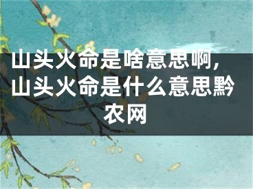 山头火命是啥意思啊,山头火命是什么意思黔农网