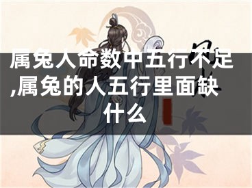 属兔人命数中五行不足,属兔的人五行里面缺什么