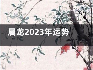属龙2023年运势