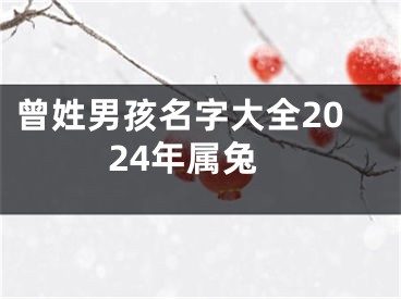 曾姓男孩名字大全2024年属兔