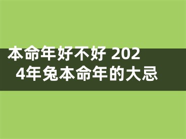 本命年好不好 2024年兔本命年的大忌