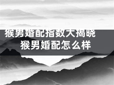 猴男婚配指数大揭晓 猴男婚配怎么样