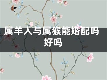 属羊人与属猴能婚配吗好吗