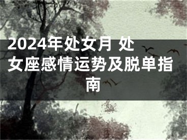 2024年处女月 处女座感情运势及脱单指南