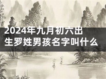 2024年九月初六出生罗姓男孩名字叫什么
