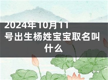 2024年10月11号出生杨姓宝宝取名叫什么