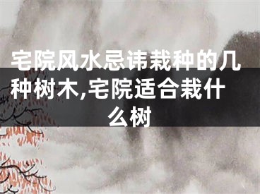 宅院风水忌讳栽种的几种树木,宅院适合栽什么树