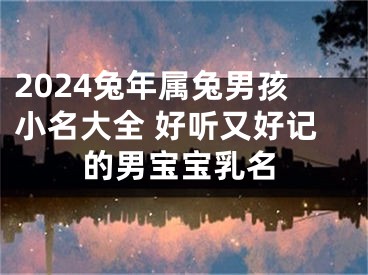 2024兔年属兔男孩小名大全 好听又好记的男宝宝乳名