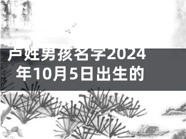卢姓男孩名字2024年10月5日出生的