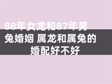 88年女龙和87年男兔婚姻 属龙和属兔的婚配好不好
