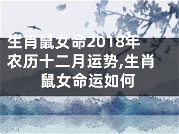 生肖鼠女命2018年农历十二月运势,生肖鼠女命运如何