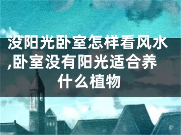 没阳光卧室怎样看风水,卧室没有阳光适合养什么植物