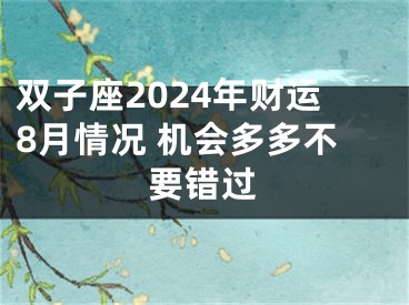 双子座2024年财运8月情况 机会多多不要错过