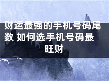 财运最强的手机号码尾数 如何选手机号码最旺财