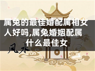 属兔的最佳婚配属相女人好吗,属兔婚姻配属什么最佳女