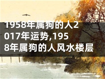 1958年属狗的人2017年运势,1958年属狗的人风水楼层