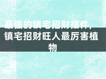 最强的镇宅招财摆件,镇宅招财旺人最厉害植物
