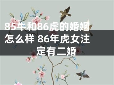 85牛和86虎的婚姻怎么样 86年虎女注定有二婚