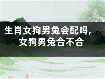 生肖女狗男兔会配吗,女狗男兔合不合