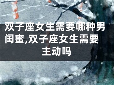 双子座女生需要哪种男闺蜜,双子座女生需要主动吗