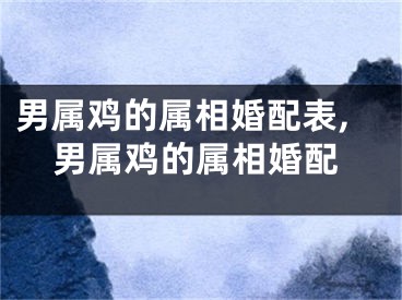 男属鸡的属相婚配表,男属鸡的属相婚配