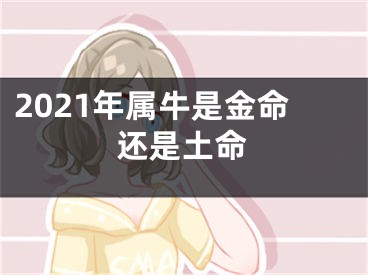 2021年属牛是金命还是土命