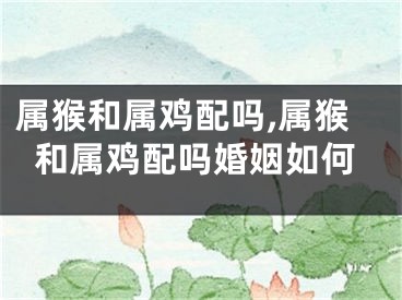 属猴和属鸡配吗,属猴和属鸡配吗婚姻如何