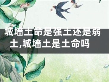 城墙土命是强土还是弱土,城墙土是土命吗