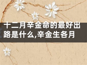 十二月辛金命的最好出路是什么,辛金生各月