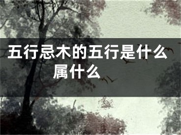 五行忌木的五行是什么 属什么 