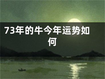 73年的牛今年运势如何